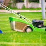 How Landscaping Improves Well-being & Outdoor Life in New Zealand Homes