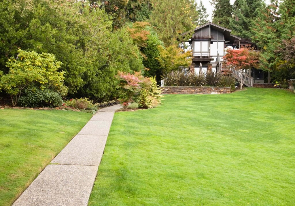 How to Maintain a Healthy Lawn Year-Round