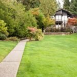 How to Maintain a Healthy Lawn Year-Round