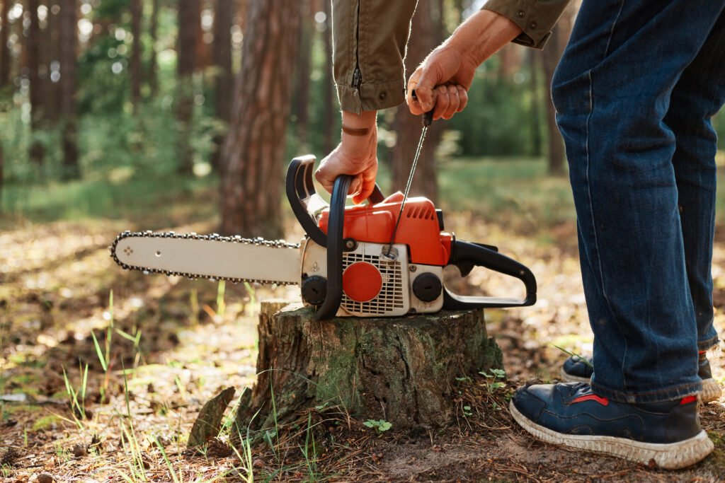 Tree Felling vs. Tree Removal: What’s the Difference?
