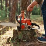Tree Felling vs. Tree Removal: What’s the Difference?