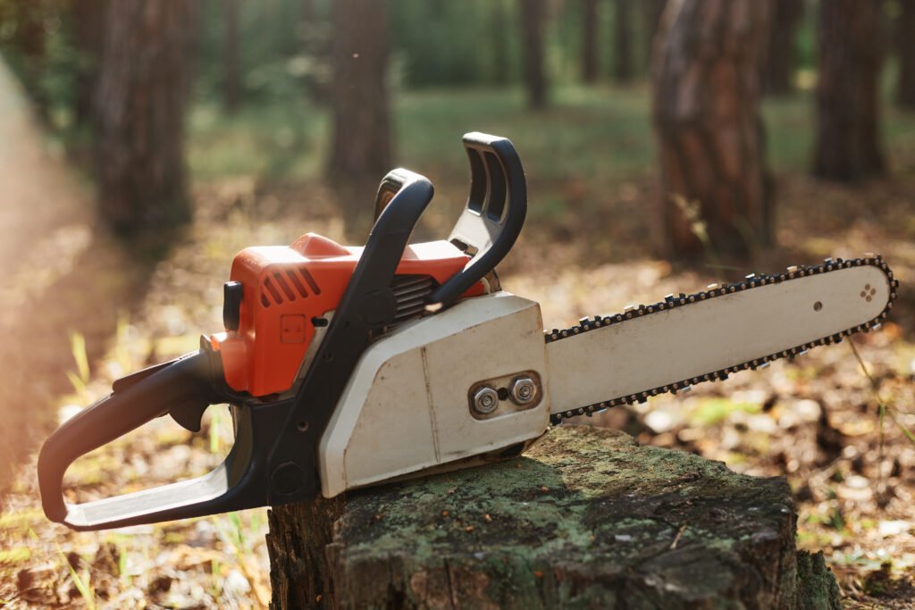 Top 10 Tree Felling and Removal Companies in Tauranga
