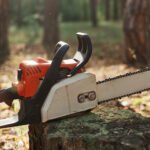 Top 10 Tree Felling and Removal Companies in Tauranga