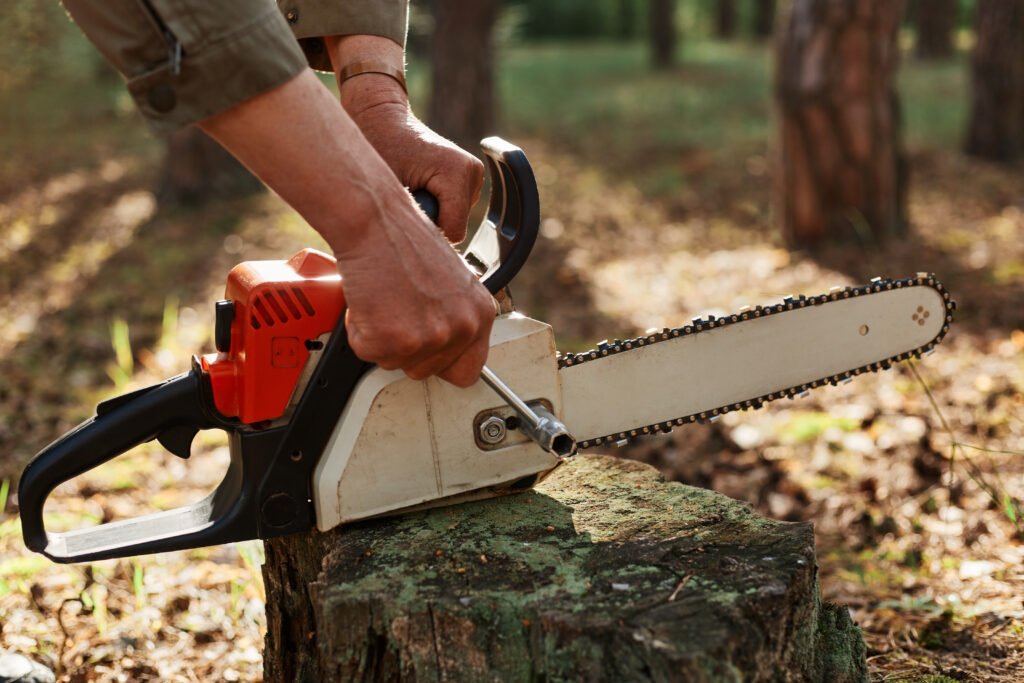 Top 10 Emergency Tree Removal Experts in Bay of Plenty