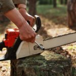 Top 10 Emergency Tree Removal Experts in Bay of Plenty